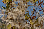 Stock Travel Photography