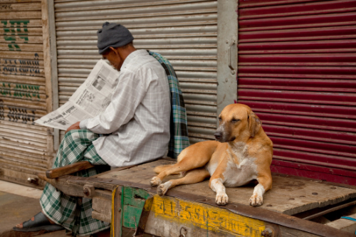 Street Photography